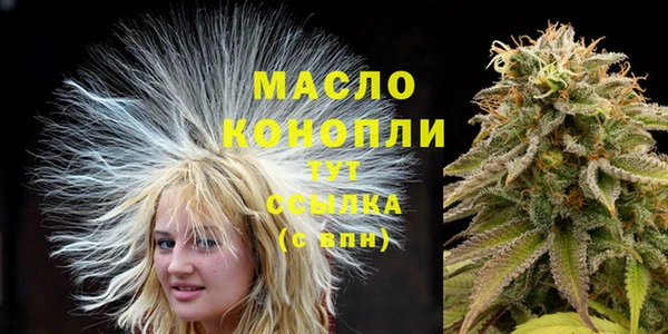 дживик Пересвет