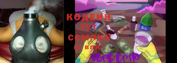 дживик Пересвет