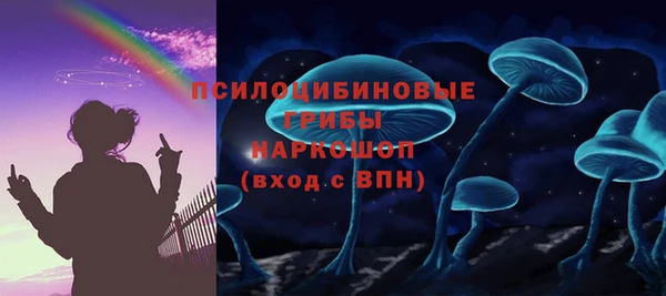 дживик Пересвет