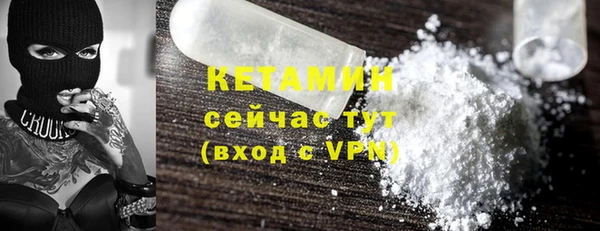 дживик Пересвет
