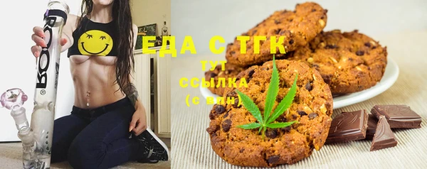 дживик Пересвет