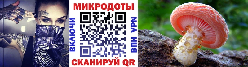 Галлюциногенные грибы мухоморы  Закаменск 